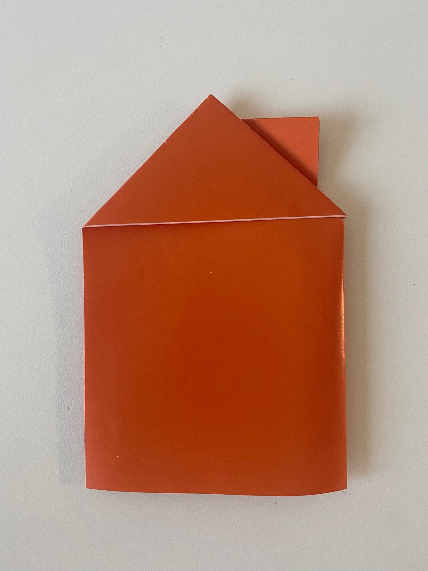Origami: Bacalı Ev Yapımı
