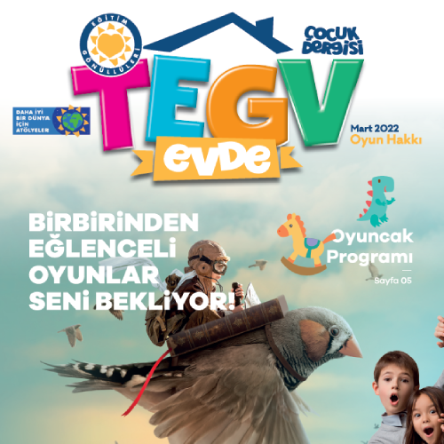 TEGV EVDE OYUN HAKKI